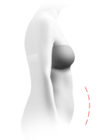 Curvier